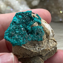 Cargar imagen en el visor de la galería, Dioptase Cluster - Kazakhstan
