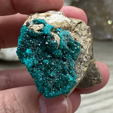 将图像加载到图库查看器中，Dioptase Cluster - Kazakhstan
