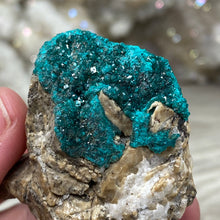 将图像加载到图库查看器中，Dioptase Cluster - Kazakhstan
