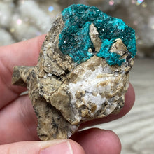 Bild in Galerie-Viewer laden, Dioptase Cluster - Kazakhstan
