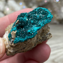 将图像加载到图库查看器中，Dioptase Cluster - Kazakhstan
