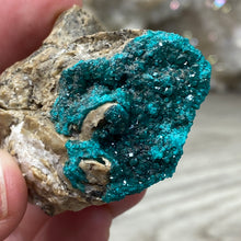 将图像加载到图库查看器中，Dioptase Cluster - Kazakhstan
