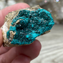 Bild in Galerie-Viewer laden, Dioptase Cluster - Kazakhstan
