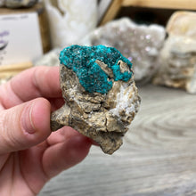 将图像加载到图库查看器中，Dioptase Cluster - Kazakhstan
