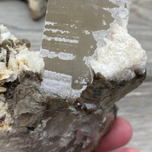 Cargar imagen en el visor de la galería, Smoky Quartz Specimen with Albite and Muscovite
