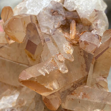 Carica l&#39;immagine nel visualizzatore di Gallery, Red / Tangerine Quartz Cluster #45
