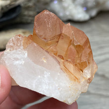 Carica l&#39;immagine nel visualizzatore di Gallery, Red / Tangerine Quartz Cluster #46
