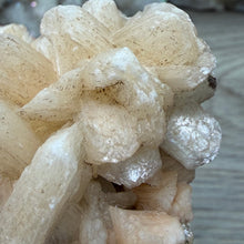 Cargar imagen en el visor de la galería, Apophyllite/Zeolite Cluster #03
