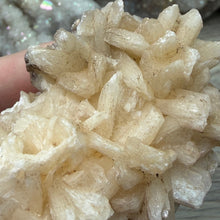 Cargar imagen en el visor de la galería, Apophyllite/Zeolite Cluster #03
