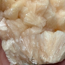 Chargez l'image dans la visionneuse de la galerie, <transcy>Apophyllite avec Stilbite et Chlorite Verte</transcy>
