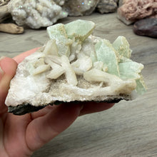 将图像加载到图库查看器中，<transcy>鱼眼石与辉石和绿色绿泥石</transcy>
