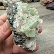 将图像加载到图库查看器中，<transcy>鱼眼石与辉石和绿色绿泥石</transcy>
