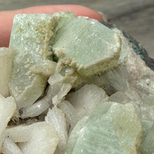 将图像加载到图库查看器中，<transcy>鱼眼石与辉石和绿色绿泥石</transcy>
