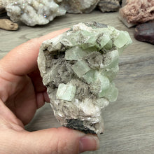 Cargar imagen en el visor de la galería, Apophyllite/Zeolite Cluster #11
