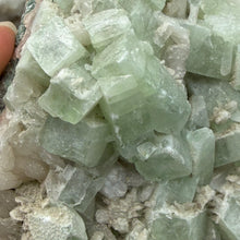 Cargar imagen en el visor de la galería, Apophyllite/Zeolite Cluster #12
