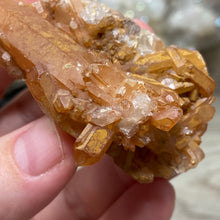 将图像加载到图库查看器中，Red / Tangerine Quartz Cluster #61
