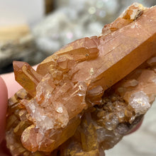 Load image into Gallery viewer, Red / Tangerine Quartz Cluster #61
