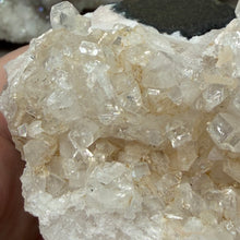 Cargar imagen en el visor de la galería, Apophyllite/Zeolite Cluster #20
