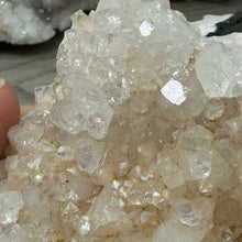 Cargar imagen en el visor de la galería, Apophyllite/Zeolite Cluster #20
