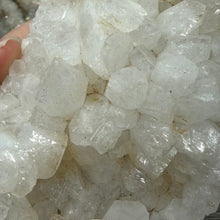 Chargez l'image dans la visionneuse de la galerie, <transcy>Apophyllite avec Stilbite et Chlorite Verte</transcy>
