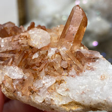 Carica l&#39;immagine nel visualizzatore di Gallery, Red / Tangerine Quartz Cluster #68
