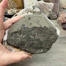 Cargar imagen en el visor de la galería, Apophyllite/Zeolite Cluster #26
