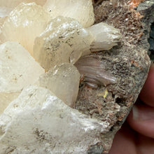Bild in Galerie-Viewer laden, Apophyllite/Zeolite Cluster #32
