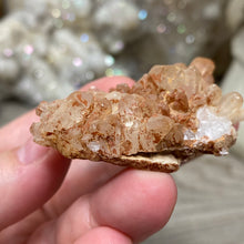 将图像加载到图库查看器中，Red / Tangerine Quartz Cluster #83
