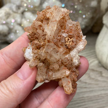 将图像加载到图库查看器中，Red / Tangerine Quartz Cluster #83
