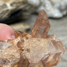 Load image into Gallery viewer, Red / Tangerine Quartz Cluster #101
