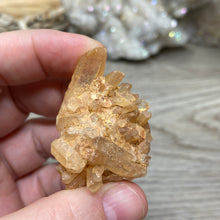 将图像加载到图库查看器中，Red / Tangerine Quartz Cluster #111
