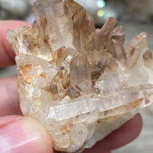 将图像加载到图库查看器中，Red / Tangerine Quartz Cluster #48
