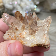 将图像加载到图库查看器中，Red / Tangerine Quartz Cluster #48
