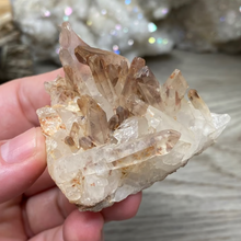 将图像加载到图库查看器中，Red / Tangerine Quartz Cluster #48
