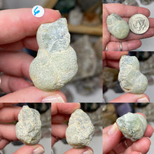 Load image into Gallery viewer, Prehnite with Epidote X-Large Nodules from Mali Africa
