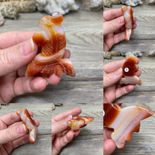 将图像加载到图库查看器中，Carnelian Agate Fish
