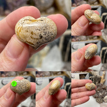 Load image into Gallery viewer, Picture Jasper Cartoon 1&quot; Hearts
