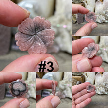 将图像加载到图库查看器中，Rhodochrosite Flowers with Drilled Holes
