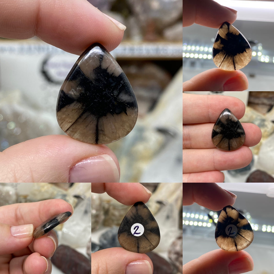 Andalusite / Chiastolite Large Cabochons