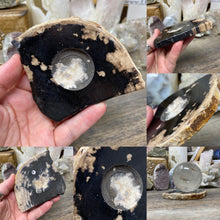 Load image into Gallery viewer, Petrified Wood Stand #19
