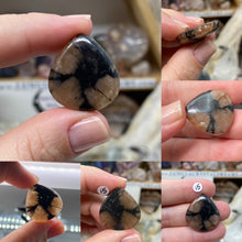 将图像加载到图库查看器中，Andalusite / Chiastolite Large Cabochons
