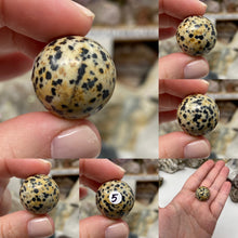 Load image into Gallery viewer, Dalmatian Jasper 21mm Spheres
