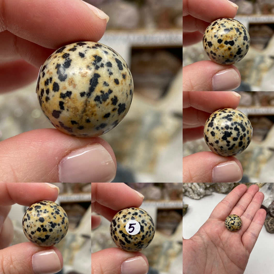 Dalmatian Jasper 21mm Spheres