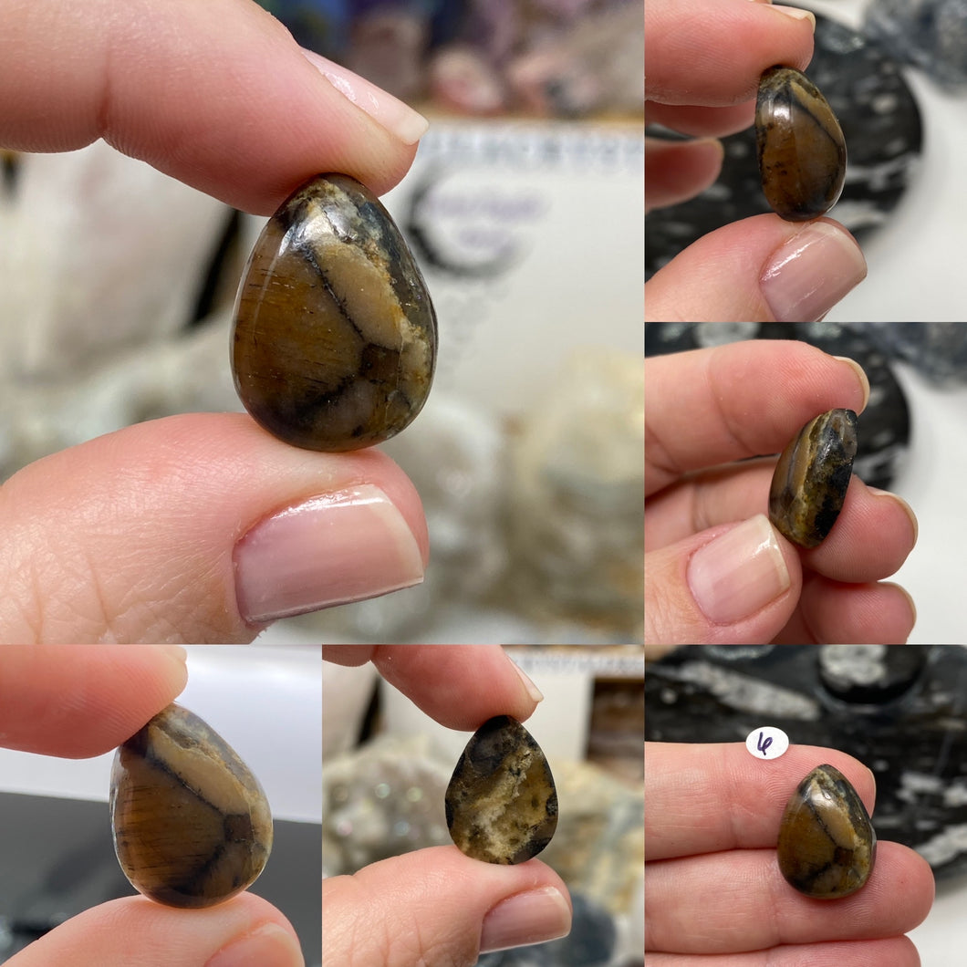 Andalusite / Chiastolite Small Cabochons