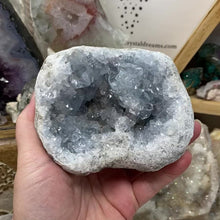 在图库查看器中加载和播放视频，Celestite Rough Cluster #80
