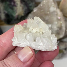 Load and play video in Gallery viewer, Arkansas Quartz Small Cluster #42
