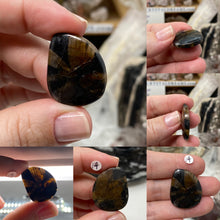 将图像加载到图库查看器中，Andalusite / Chiastolite Large Cabochons
