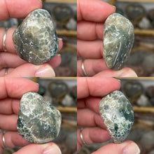 将图像加载到图库查看器中，Ocean Jasper Medium Rough Tumbles
