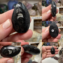 Load image into Gallery viewer, Orthoceras Small Palm Stones
