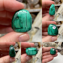 将图像加载到图库查看器中，Malachite Small Tumbles
